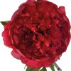 Pivoine rouge H 50cm