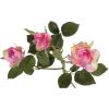 Rose Adélaïde 3 tiges rose verte H68cm