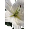 Lys blanc H 90cm